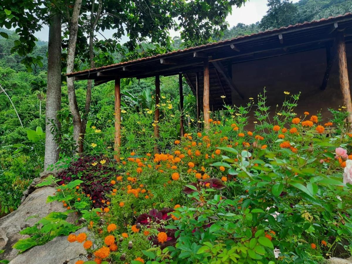 Silver Hill Ecovillage Kurunegala Exteriér fotografie