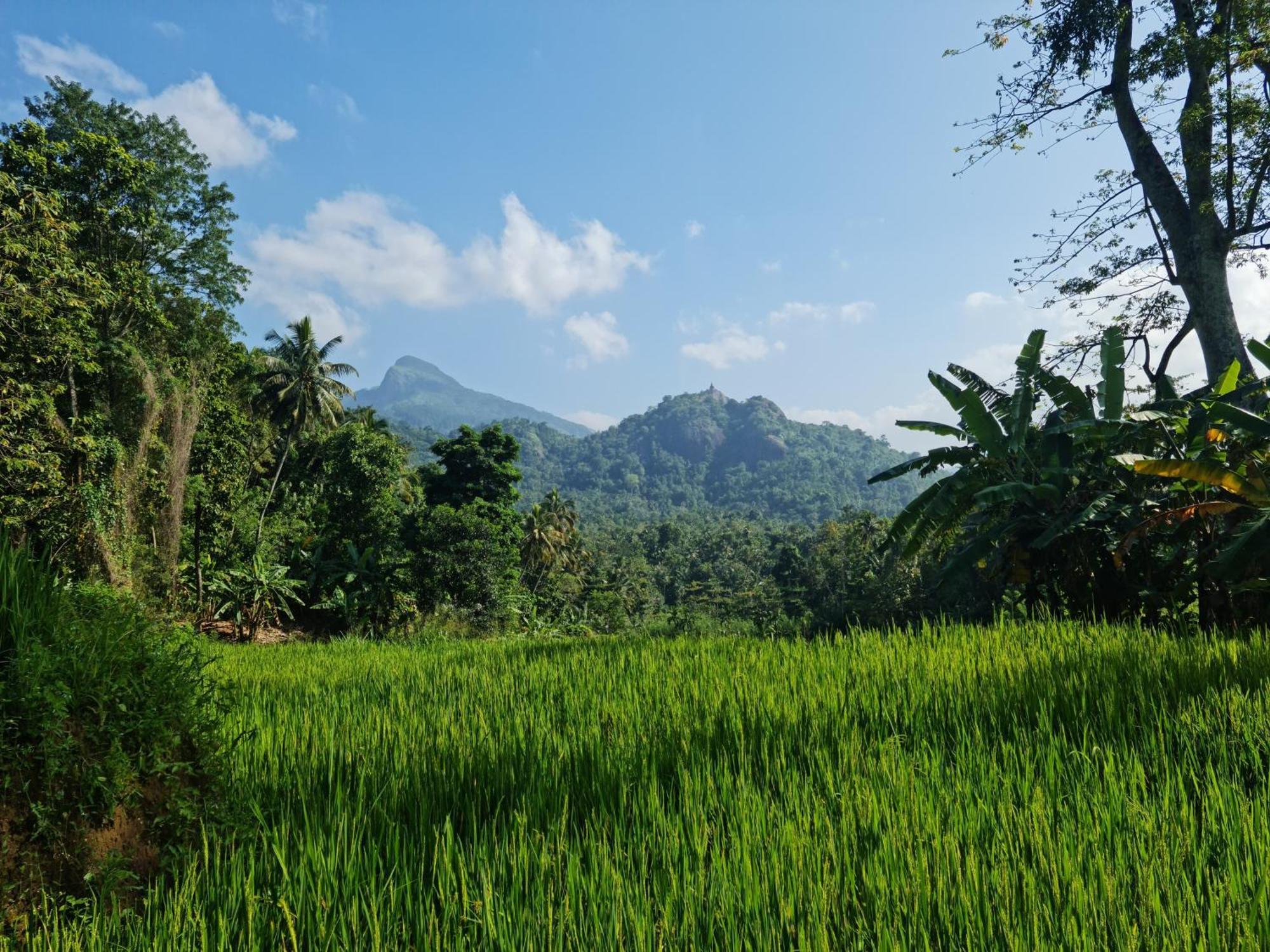 Silver Hill Ecovillage Kurunegala Exteriér fotografie