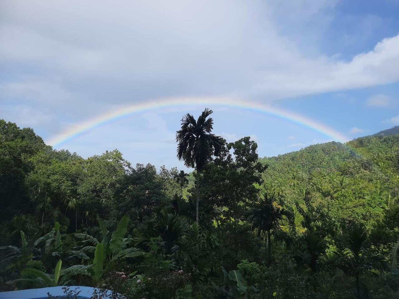 Silver Hill Ecovillage Kurunegala Exteriér fotografie