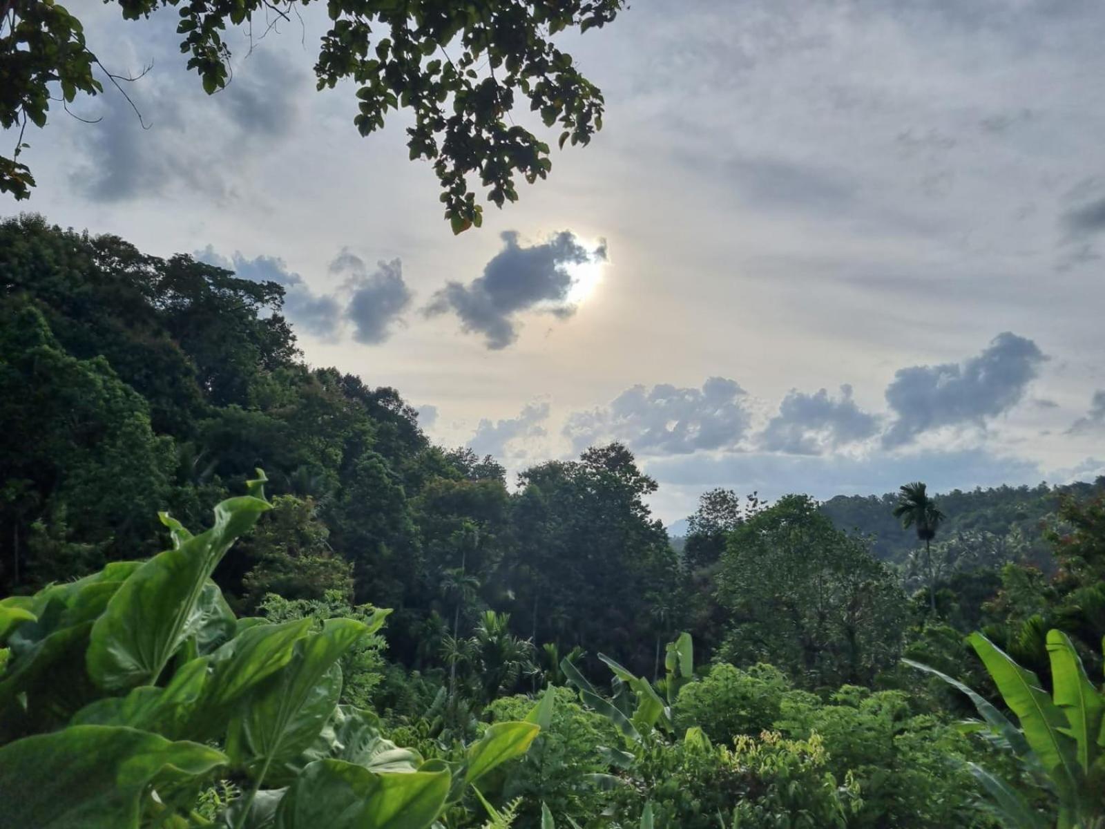 Silver Hill Ecovillage Kurunegala Exteriér fotografie