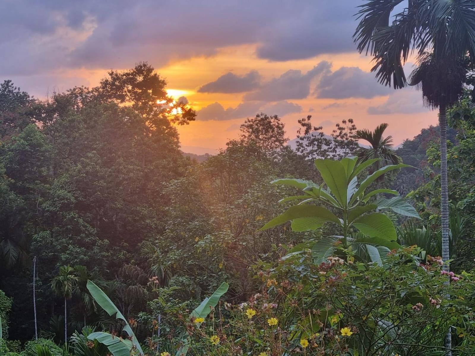 Silver Hill Ecovillage Kurunegala Exteriér fotografie